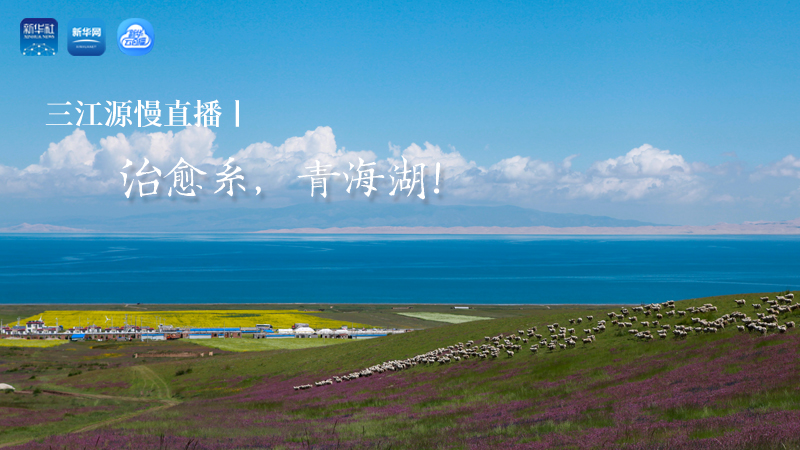 三江源慢直播丨治愈系，青海湖！